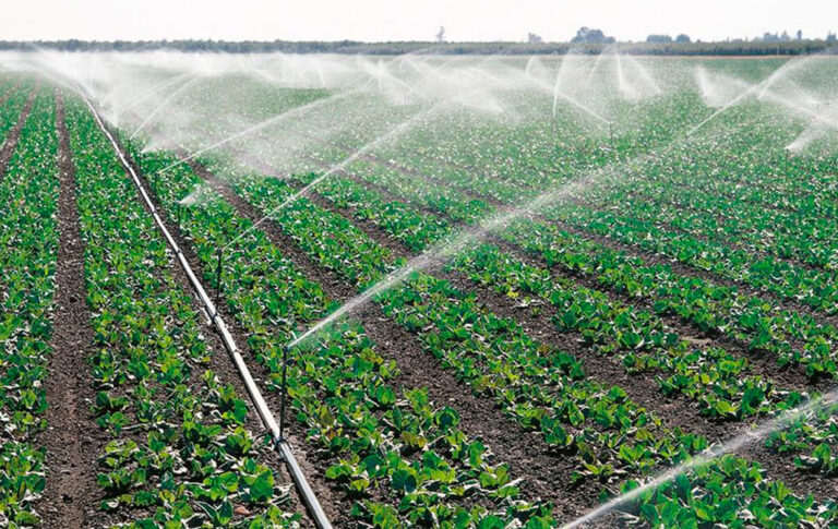 abastesimiento-respuestos-agricolas