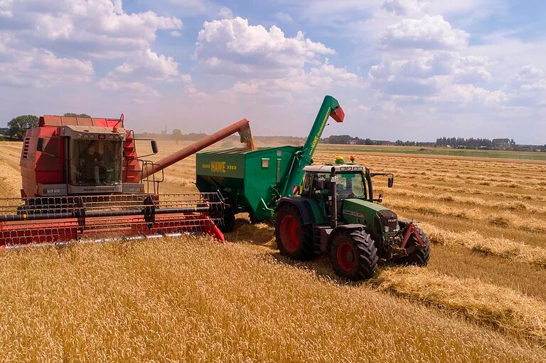 agricola5